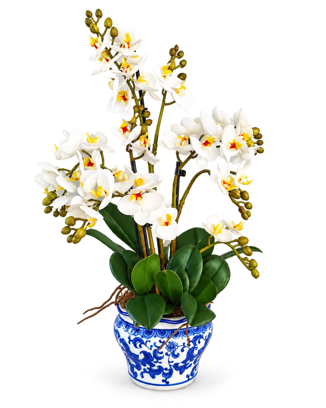 White Artificial Orchids in Blue Pot